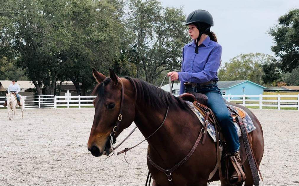 Horse Back Riding