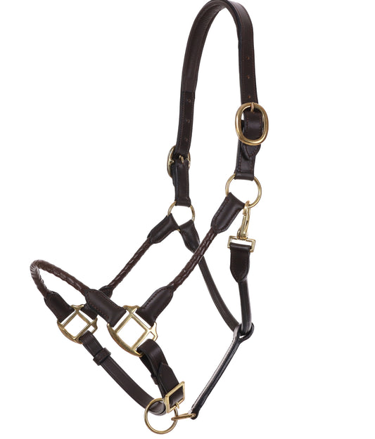 Leather Halter with Braided Nose and Cheeks