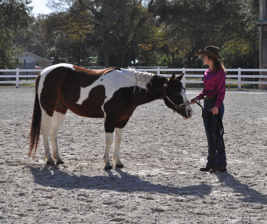 1 Hour Private Horse Back Riding