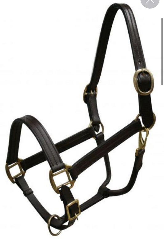 Horse size leather halter with brass hardware. Accented with three rows of stitching