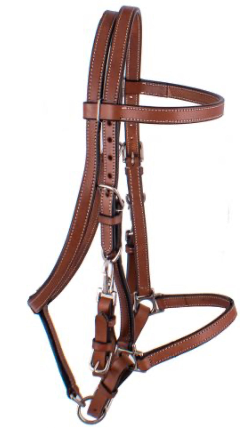 Argentina Cow Leather Halter Bridle Combo