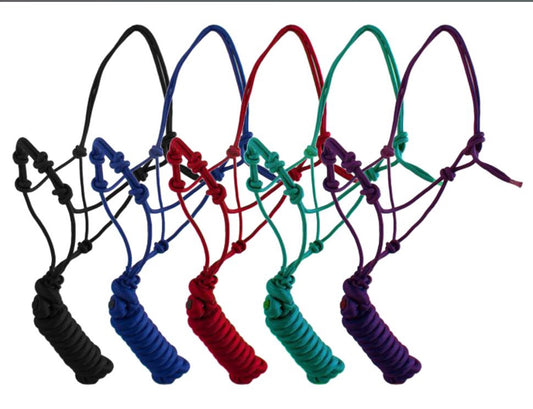 Yearling Size Cowboy Knot Halter with Training Knots and Matching 8' Lead