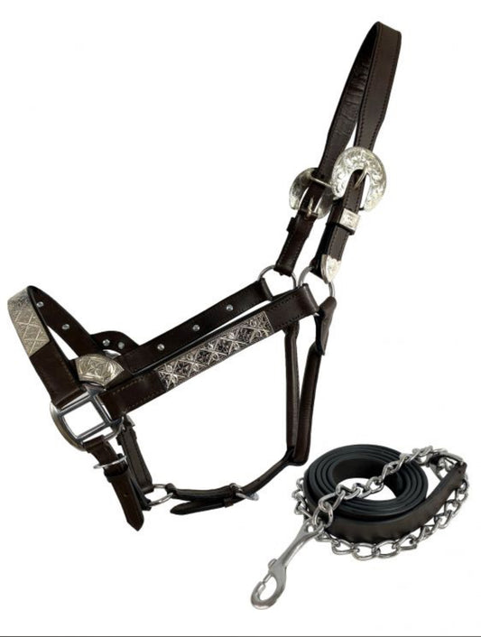 Dark Oil Average Horse size leather double stitched silver bar show halter with matching lead