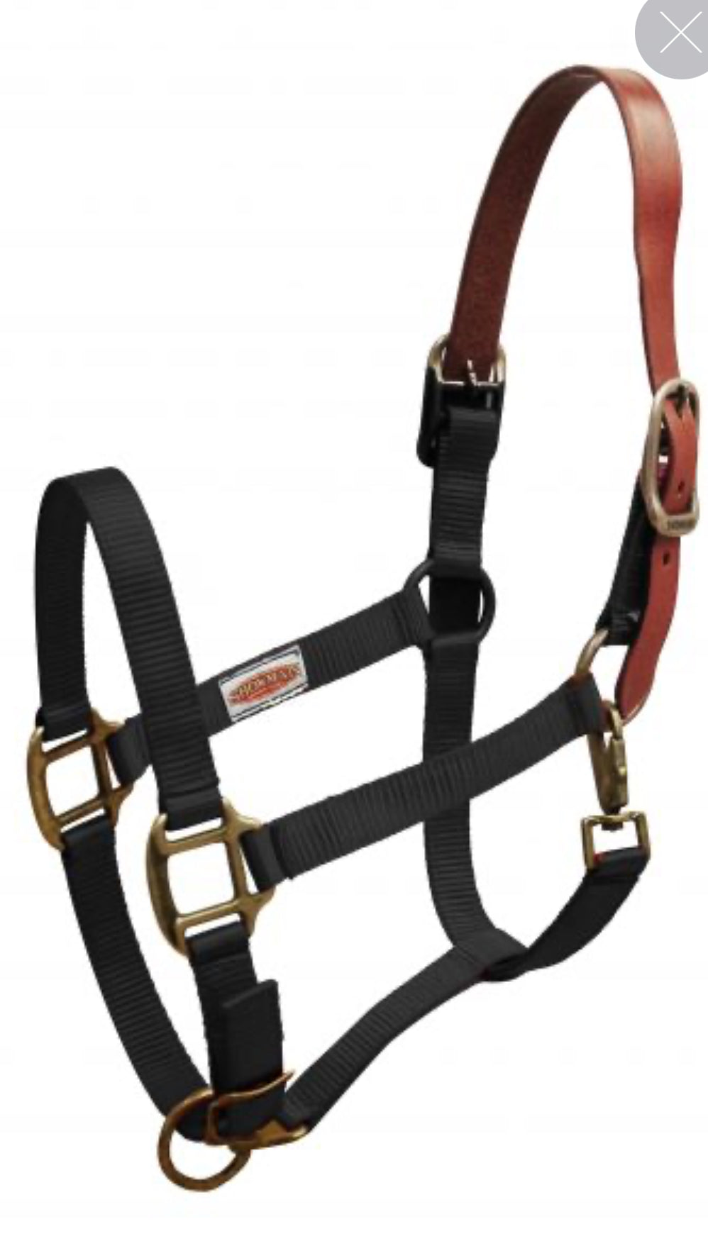 Premium nylon Breakaway halter