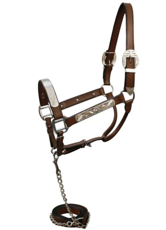 Horse size show halter with matching lead